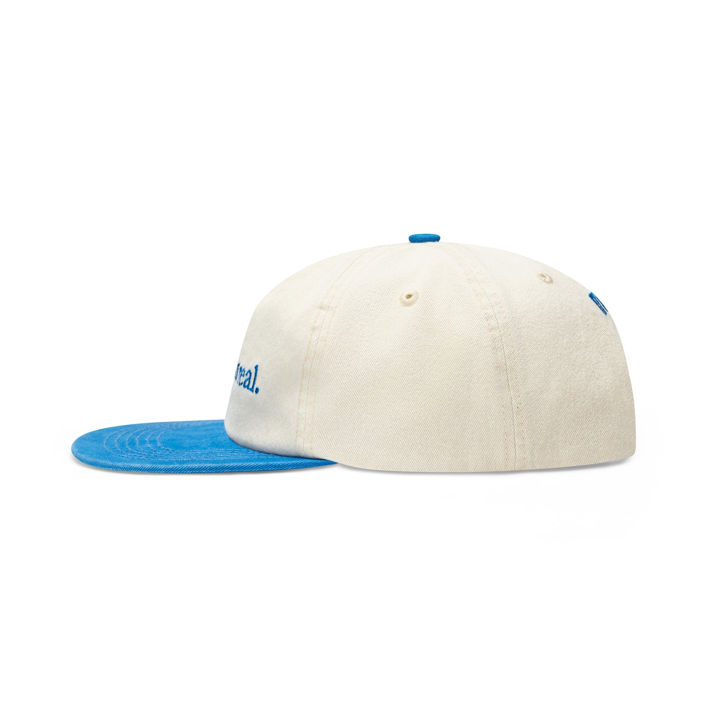 Two Tone Cap