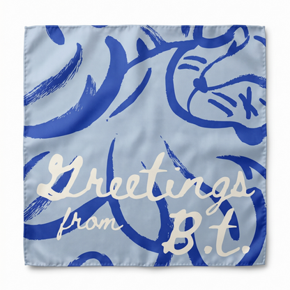 Silk Scarf